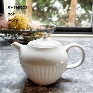 Mino ware Japanese Teapot Ivory Tea Pot Made in Japan
