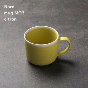 Mino ware Mug Made in Japan