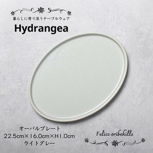 【Hydrangea ハイドランジア】 オーバルプレート 22.5cm ライトグレー 楕円皿 美濃焼 日本製 Felice