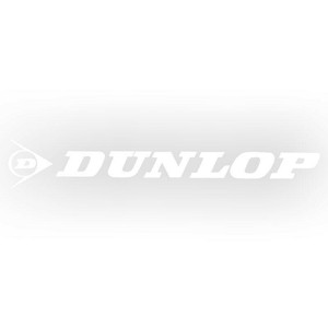 東洋マーク製作所　バイク・カーステッカー　DUNLOP　R-542