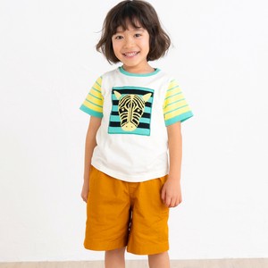【新作】【2025年2月納品予定】春夏 動物 アニマル しまうまボーダーニット袖Tシャツ