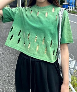 アナとスキマのT