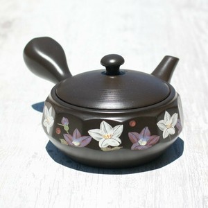 Tokoname ware Japanese Teapot