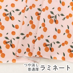 Cotton Sarasa Orange