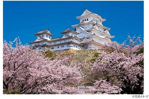 ジグソーパズル 1000ピース 千の桜と姫路城(兵庫) 10-1411