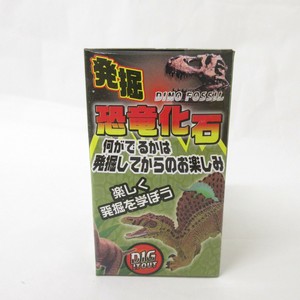 ファースト・アロー 発掘! 恐竜化石 206-631