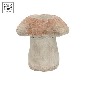 花盆 2024年 新商品 秋冬