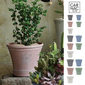 Pot/Planter