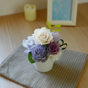 すみれ 仏花アレンジ　仏花　フラワーギフト  お盆　お供え  ソラフラワー  プリザーブドフラワー