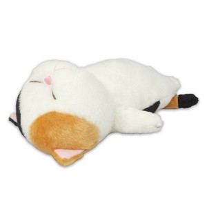 ぼうみたいなねこ  みけぼう