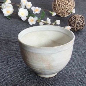Donburi Bowl