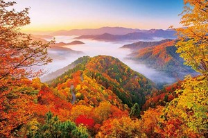拼图 Jigsaw Puzzle