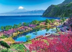 Puzzle Puzzle Mt.Fuji