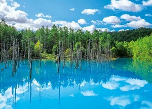 拼图 Jigsaw Puzzle