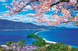 ジグソーパズル 桜咲く天橋立 日本風景 桜