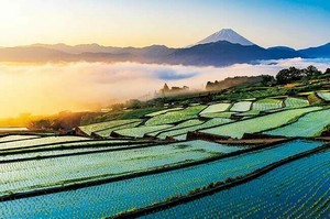 拼图 Jigsaw Puzzle 富士山