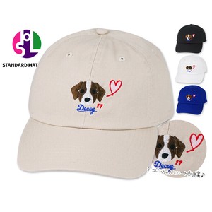 SHL DECOY HEART SIGN 17 LOGO 刺繍 CAP -（NewhattanBODY）21632