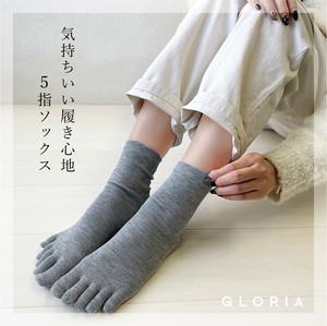 运动袜 女士 袜子 2025年 立即发货 秋冬新品 女性