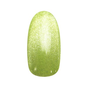 ネイルパフェ マグネットジェル MG6シュワグリーン 2g