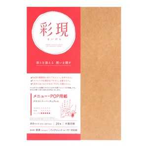 Copier Papers/Printing Papers