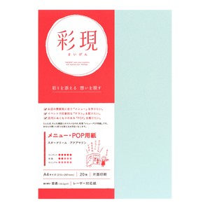 Copier Papers/Printing Papers