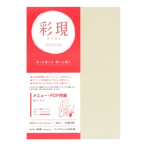 Copier Papers/Printing Papers