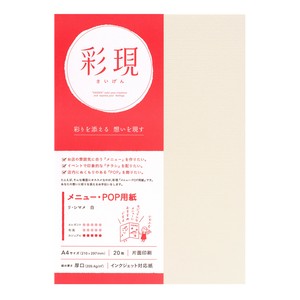 Copier Papers/Printing Papers White