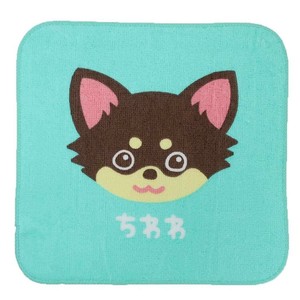【ハンドタオル】ワンワンワールド プリントミニハンカチ ちわわ