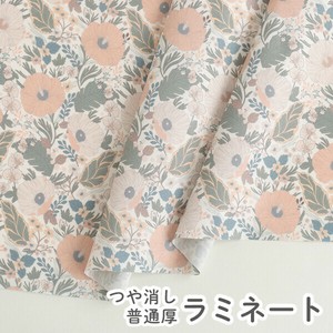 棉布 粉彩