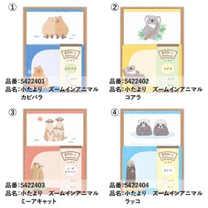 小たより　ズームインアニマル【日本製】