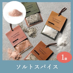 ソルトスパイス