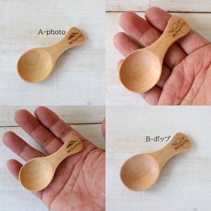 Spoon Gift mt Compact Mt.Fuji fuji