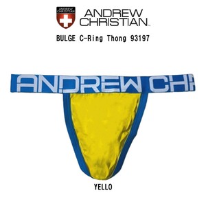 ANDREW CHRISTIAN(アンドリュークリスチャン)Tバック ビキニ 前閉じ メンズ 男性用 下着 パンツ 93197