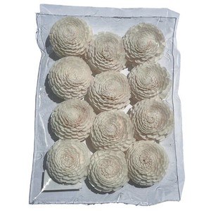 Sola Flower ソラフラワー KITS and DIY Collection Sola Flower M-12 ソラフラワー M-12 Dahlia ダリア