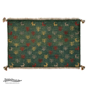 ギャッベ　ペルシャ　イラン　オーガニックウール　絨毯　ラグ　玄関マットM　50×78cm　MM1724_GR