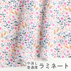 棉布 粉彩