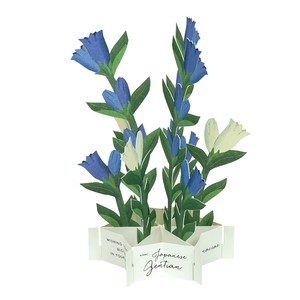 Greeting Card Gentians