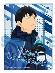 ハイキュー！！　アクリルブロック②影山飛雄