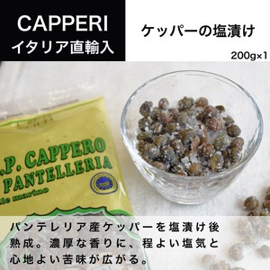 パンテレリア島産 ケッパーの塩漬け 200g