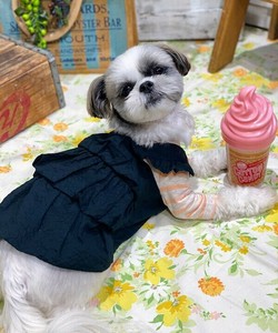 エアリーバルーンOP（犬服）