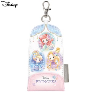 Pass Holder Disney