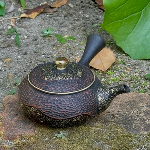 Tokoname ware Japanese Teapot Tea Pot Made in Japan