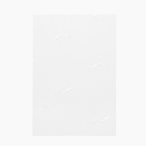 神堂 食品用フィルム 抗菌ing 19×13 100枚