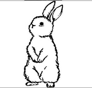 ●受注製造●【MA7stamp】うさぎ
