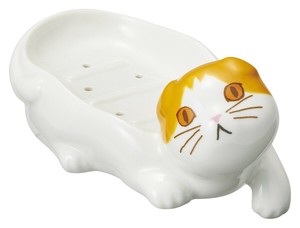 肥皂盒 杂货 猫