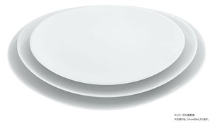 磁器 中華・洋食兼用食器 白楕円皿 21cm 8179530