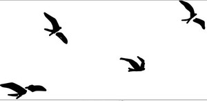 Stamp [MA7stamp] bird