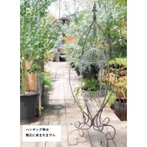 园艺拱门/围栏/爬藤花架