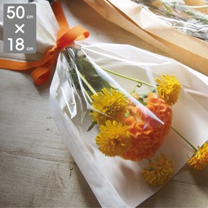 纸袋 50cm x 18cm