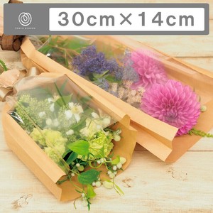 Paper Pag 50-pcs 30cm x 14cm